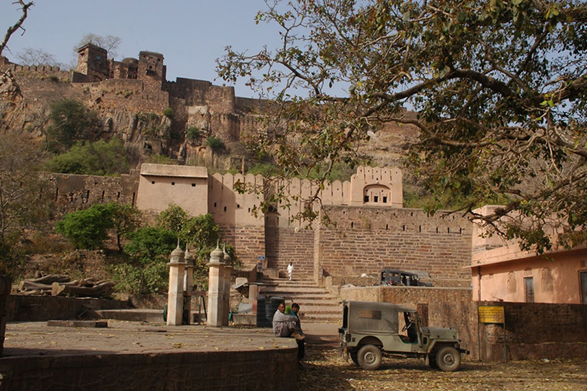 Ranthambore Tour and Travel Guide